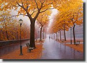 Autumn in New York By Alexei Butirskiy