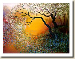 Misty-Morning