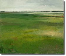 Marshland By Anne Packard
