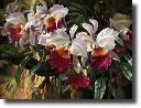 Cattleya Magnificent by Leon Roulette