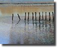 Fall-Day-On-Th-eBeach1