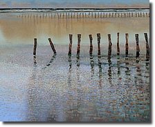 Fall Day on the Beach by Ton Dubbeldam