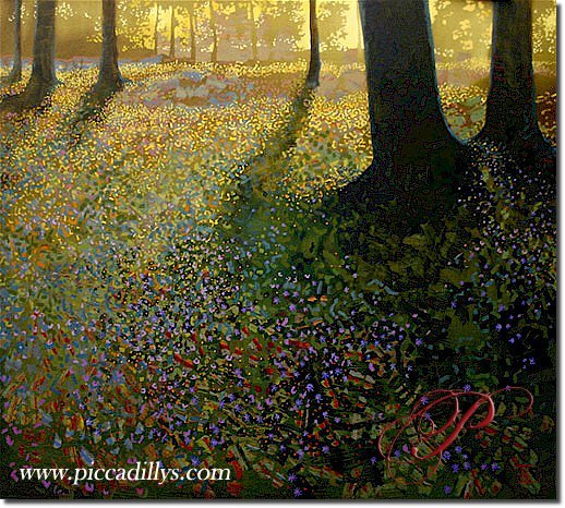 The Forest by Ton Dubbeldam